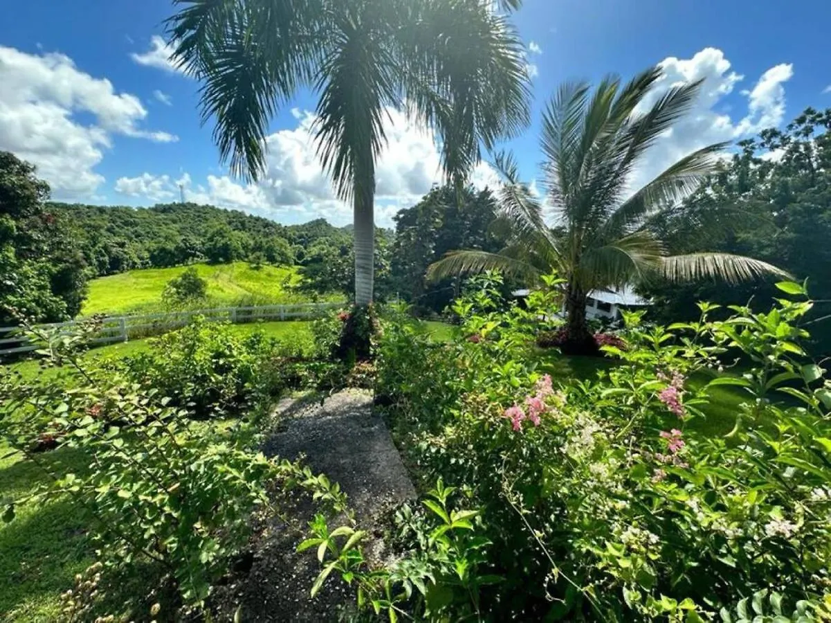 Kasa Finca La Limonada Near Palmas Del Mar Villa Humacao