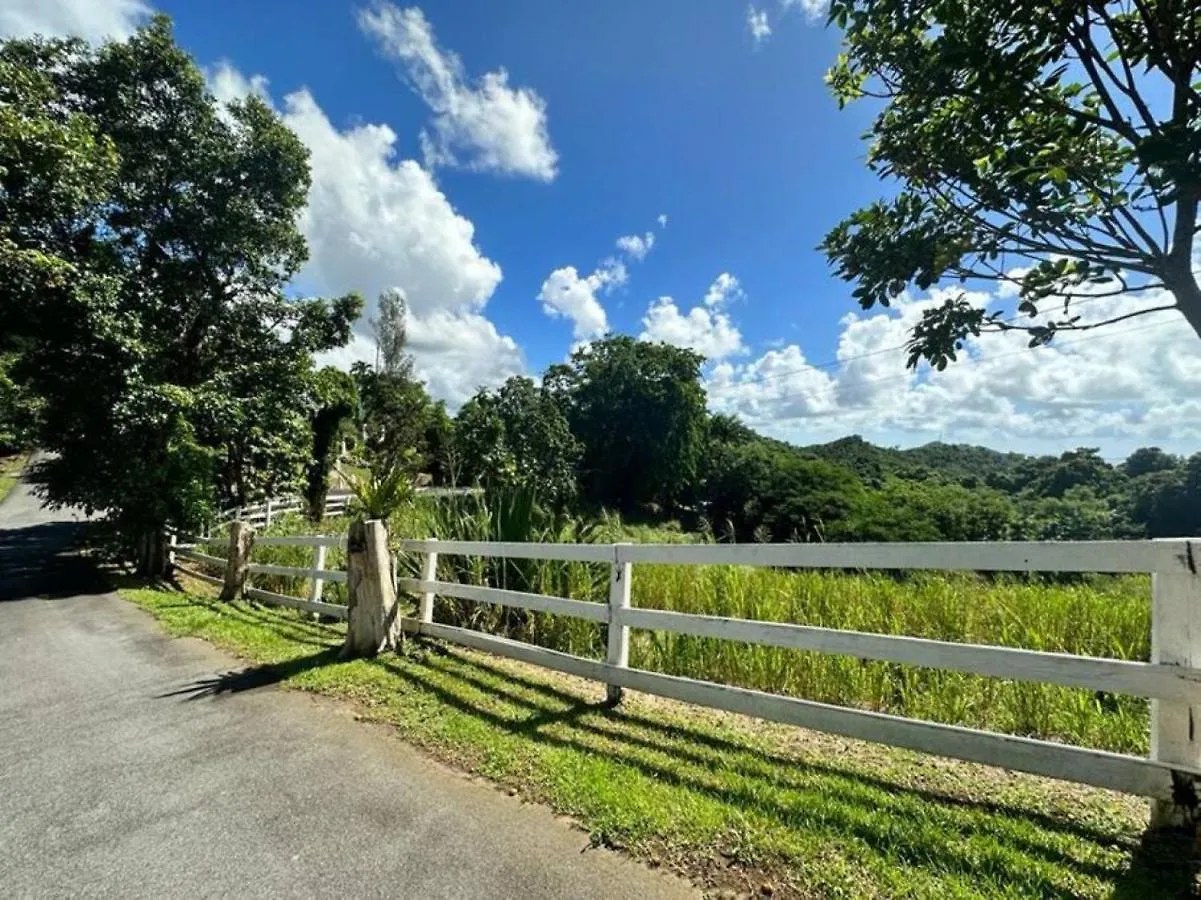Kasa Finca La Limonada Near Palmas Del Mar Villa Humacao Porto Rico