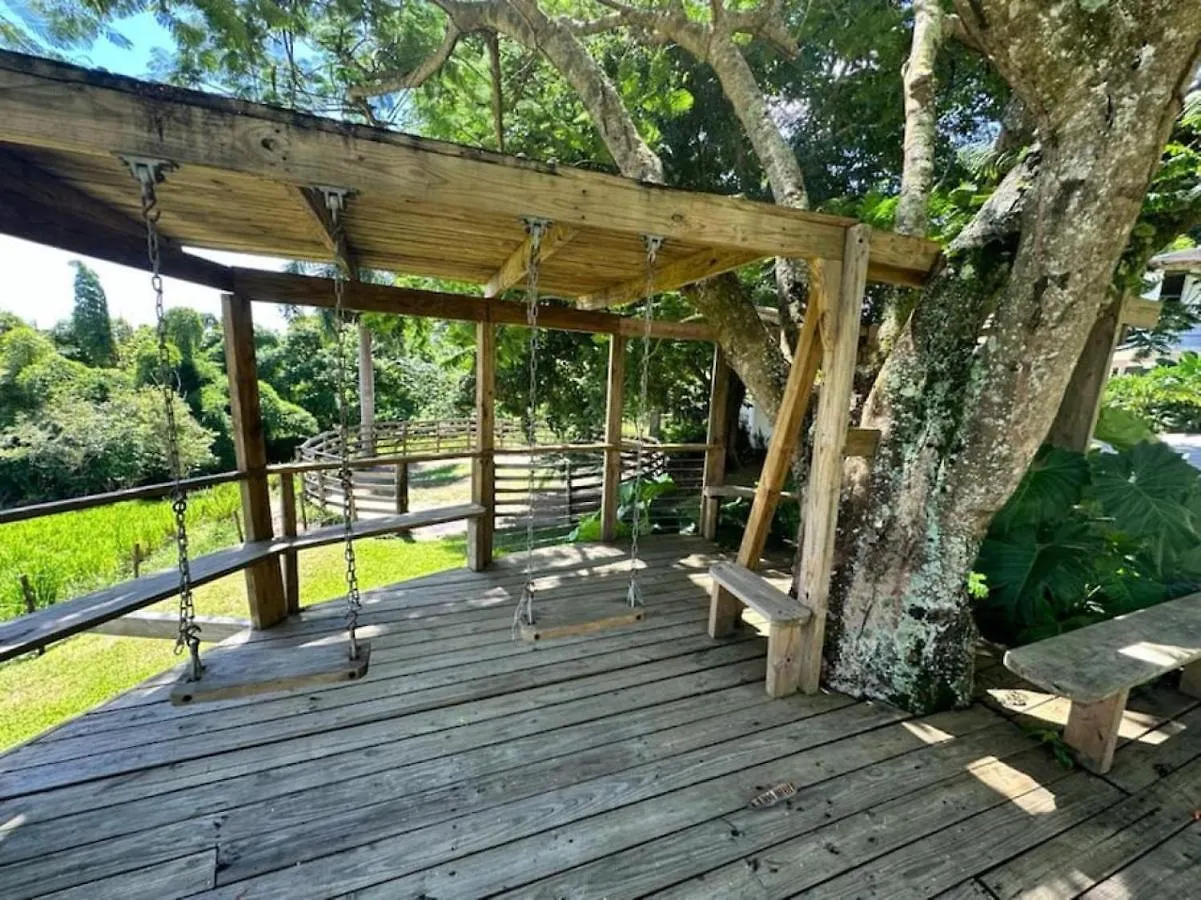 Kasa Finca La Limonada Near Palmas Del Mar Villa Humacao