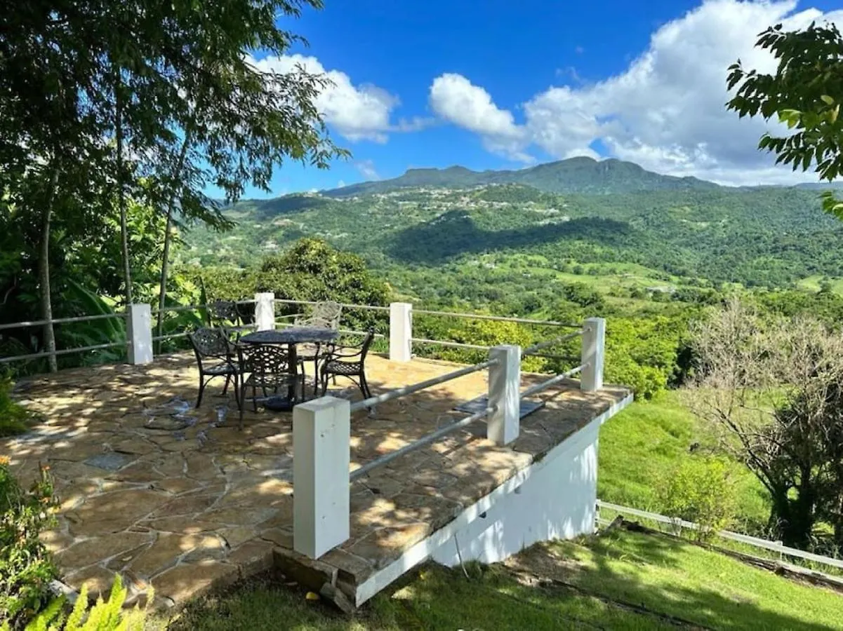 Kasa Finca La Limonada Near Palmas Del Mar Villa Humacao Porto Rico
