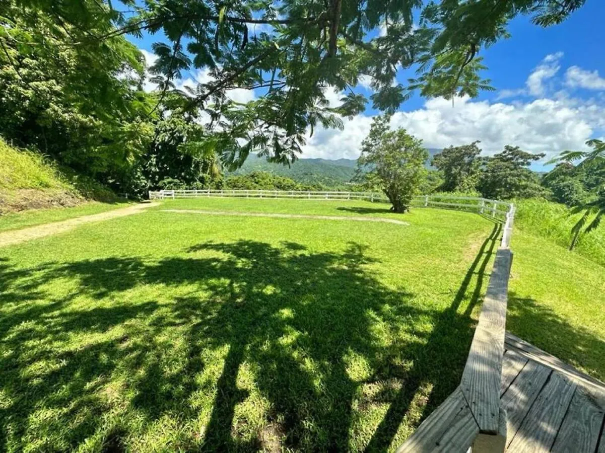 Kasa Finca La Limonada Near Palmas Del Mar Villa Humacao