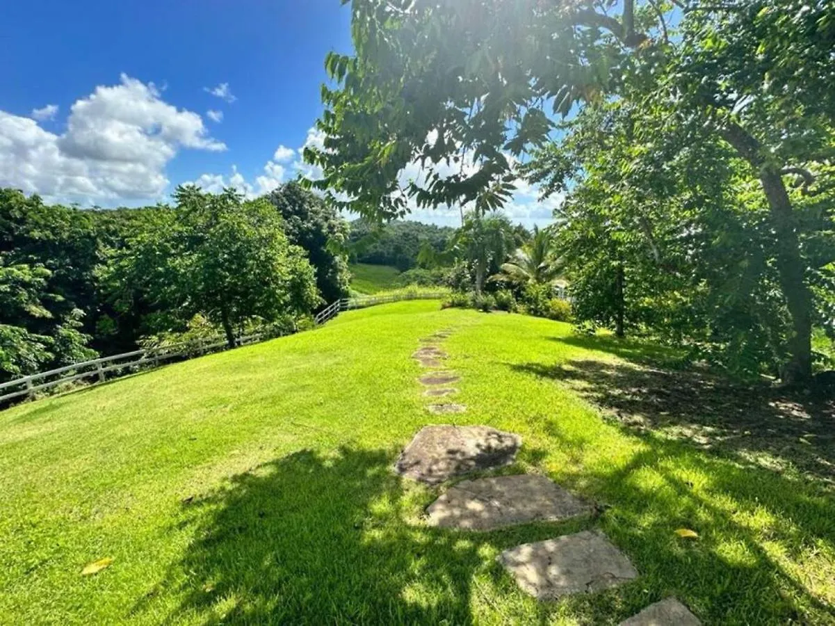 Kasa Finca La Limonada Near Palmas Del Mar Villa Humacao